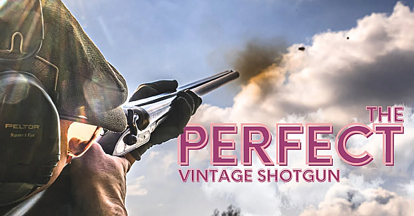 Could The Ultimate Hammer Gun Be The Most Affordable?