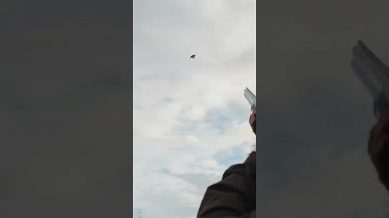 Traditional Driven Pheasant Shooting! Game Shooting On The Danish Straits