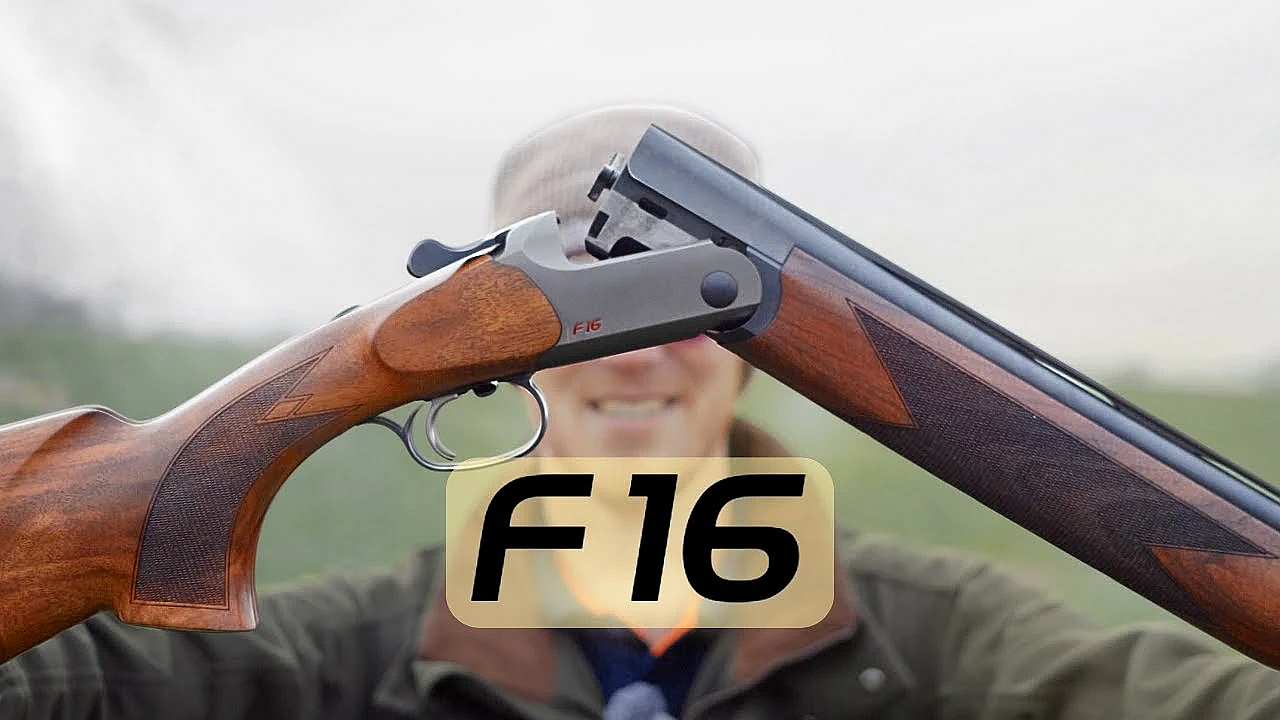 The Blaser F16