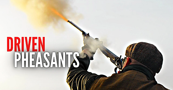 Driven Shooting The Old Way