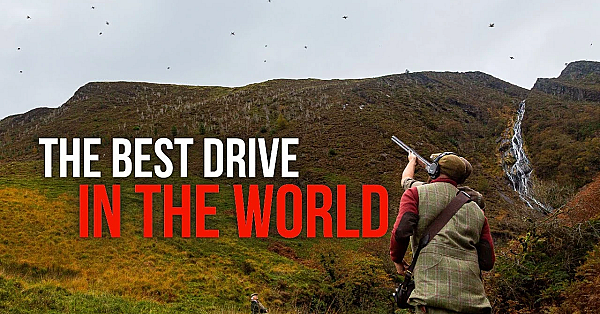 The Ultimate Game Shoot