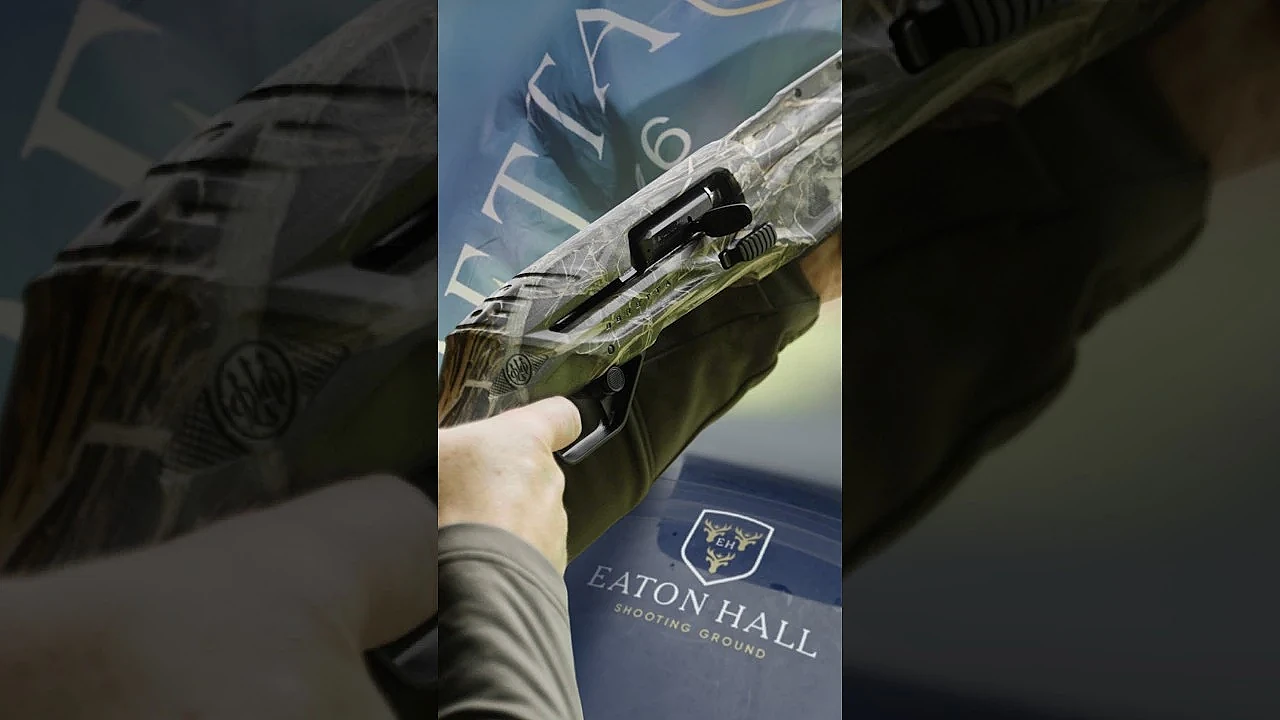 Beretta Gold Guns