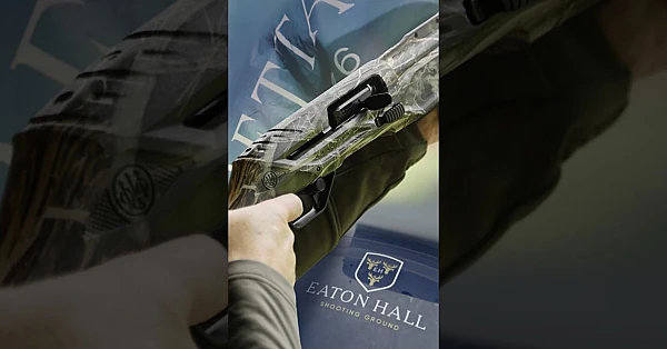 Beretta Gold Guns