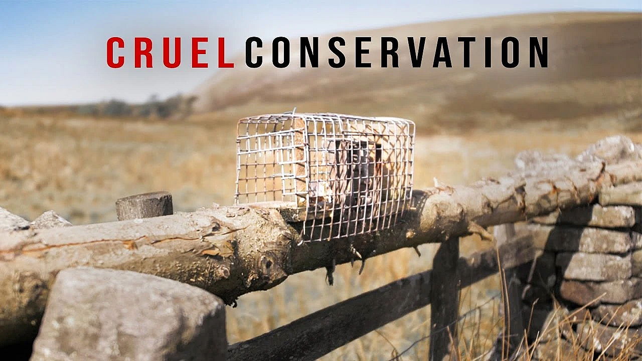 Is Conservation Too Cruel?