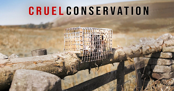Is Conservation Too Cruel?