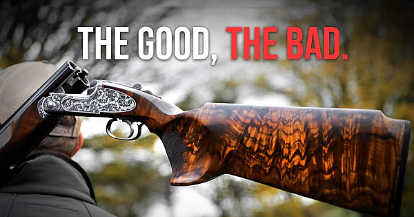 Reviewing My Longthorne - 18 Months In