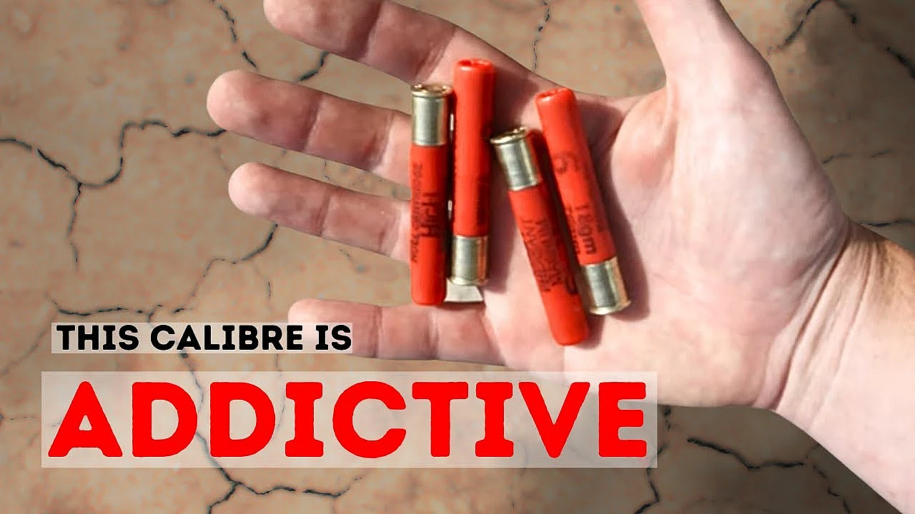 The Gun I Didn't Know I Needed...