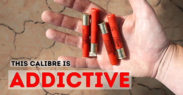 The Gun I Didn't Know I Needed...