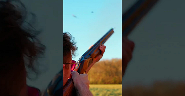 French Partridge Shoot - Full Members Video Live Now
