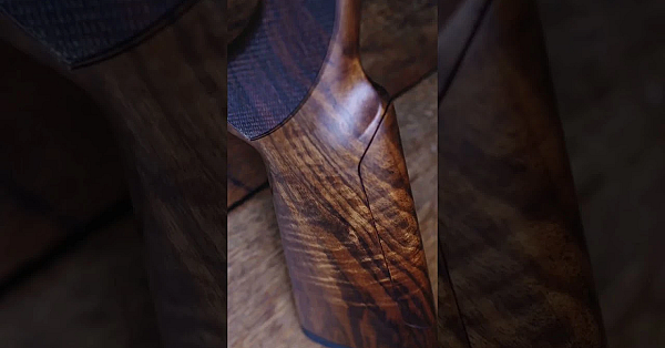 Is This Really A Trap Gun?