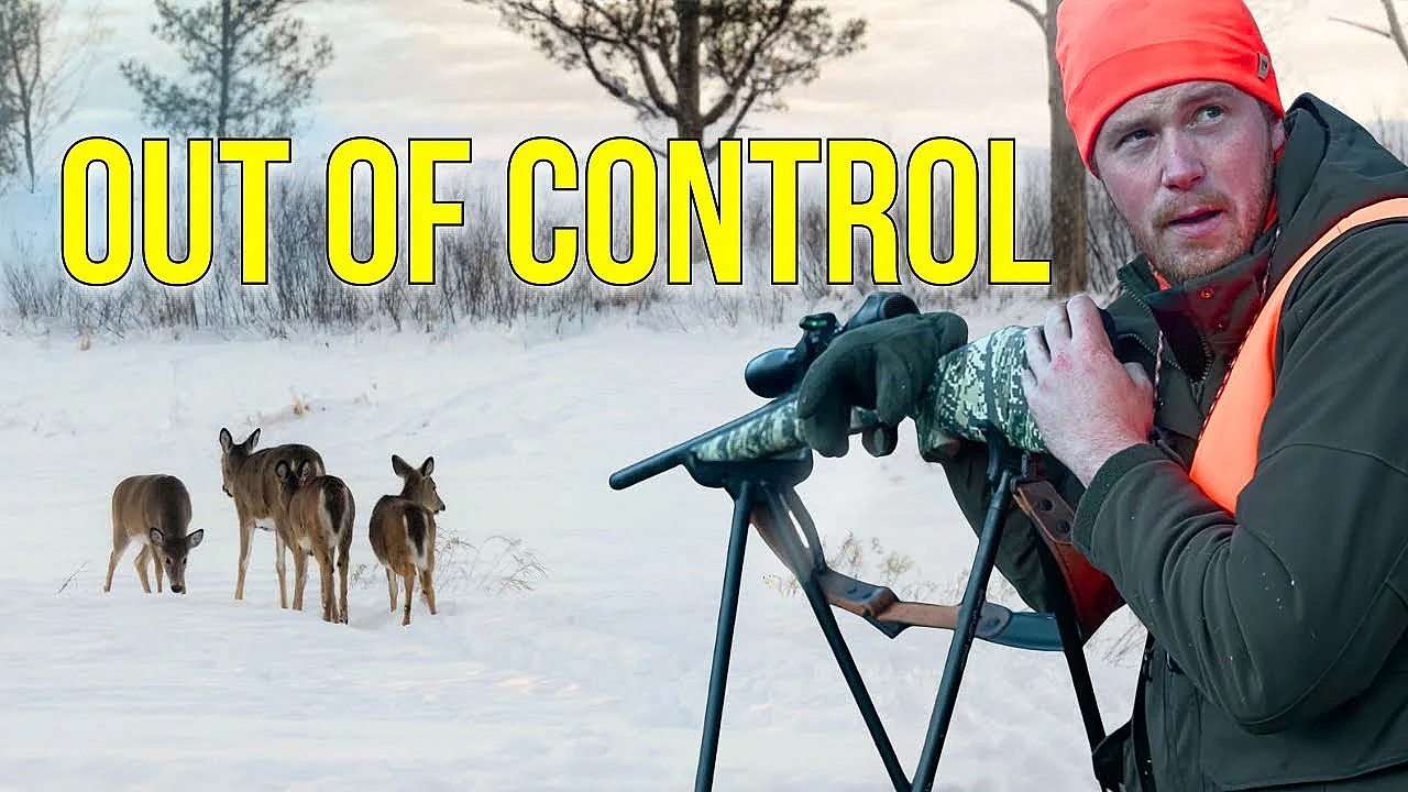 This Place Has A Deer Problem