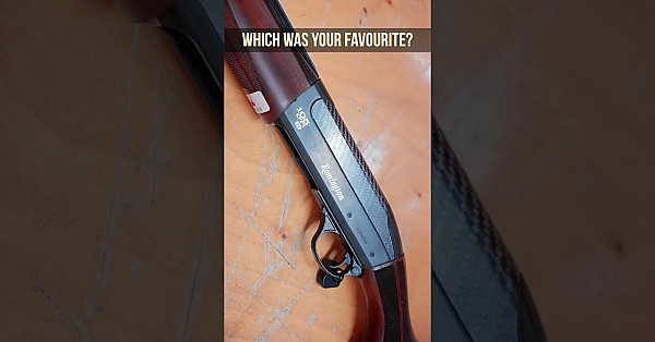 Which Gun Is Best?