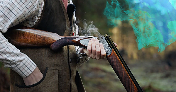 The Perdix By William Powell