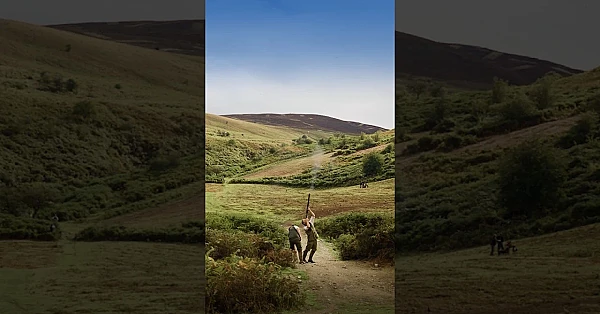 Big Swing on a Driven Partridge
