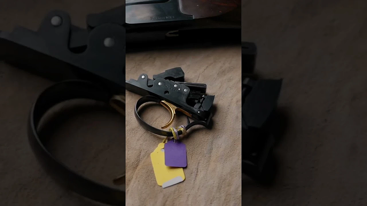 Which Is Your Favourite?