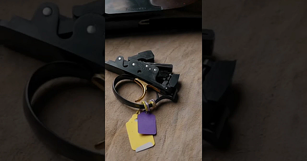 Which Is Your Favourite?