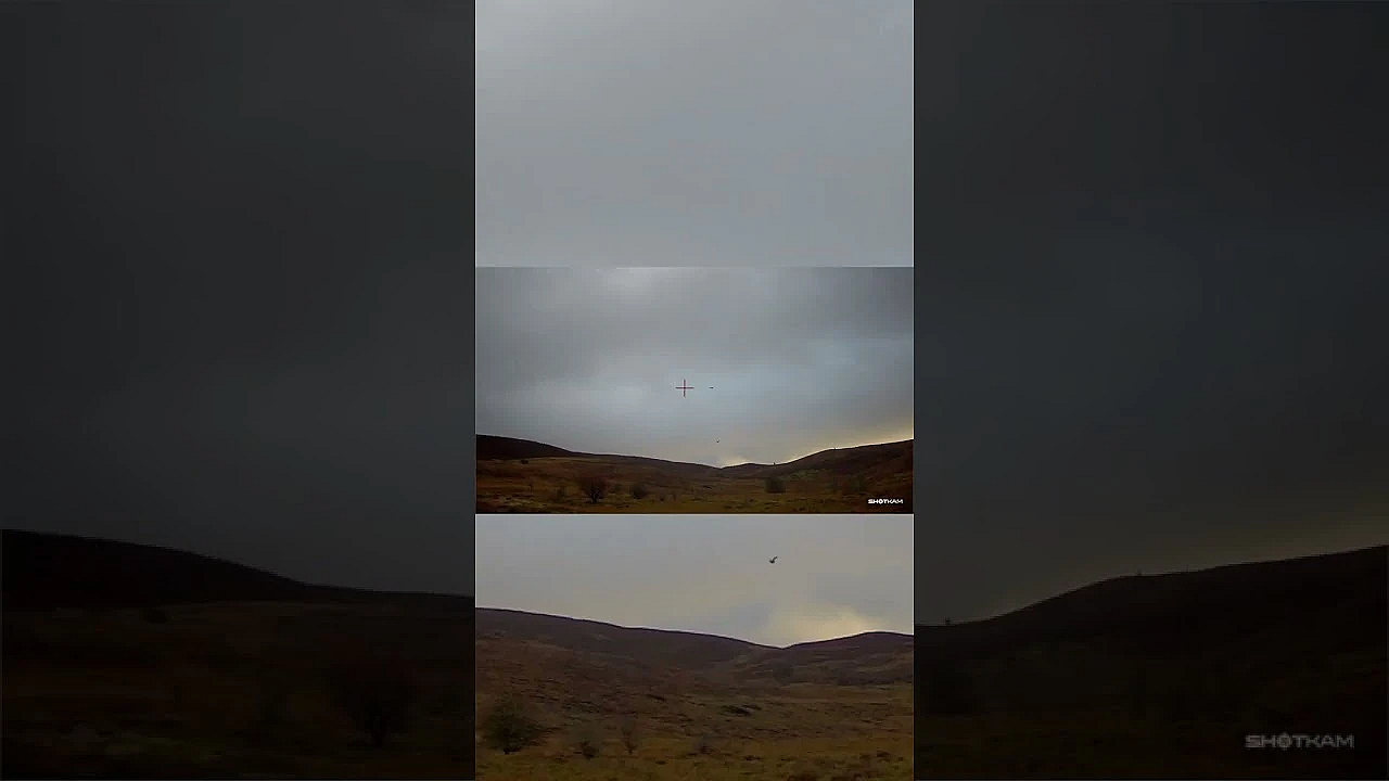 Who Cares About Missing When You Are In This Bird Hunting Paradise! #hunting