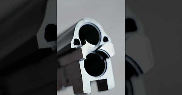 Which Gun Is Your Favourite?