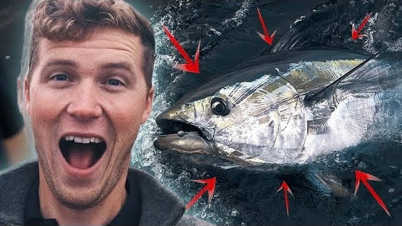 Catching Monster Tuna In England