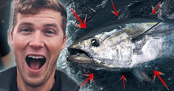 Catching Monster Tuna In England