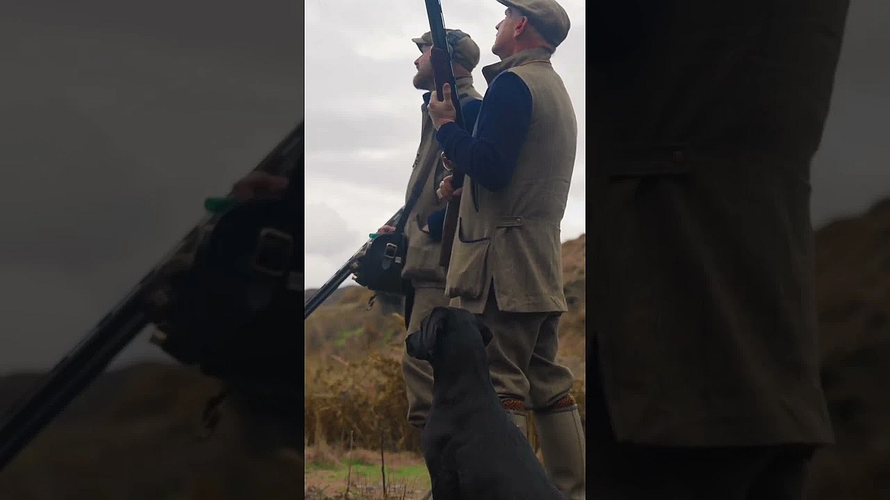 Driven Game Shooting With A Black Lab