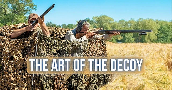 My Best Ever Days Pigeon Shooting!