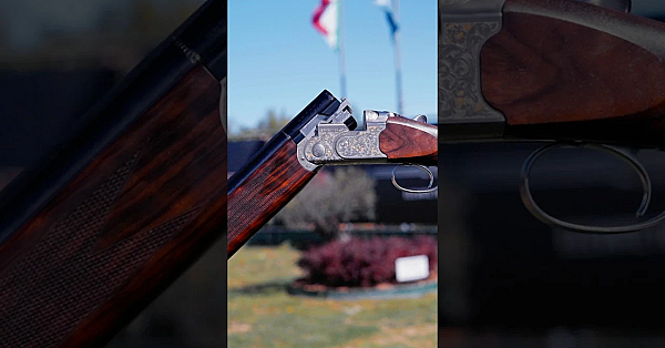 NEW Beretta 687 500th Anniversary Edition - what do you think?