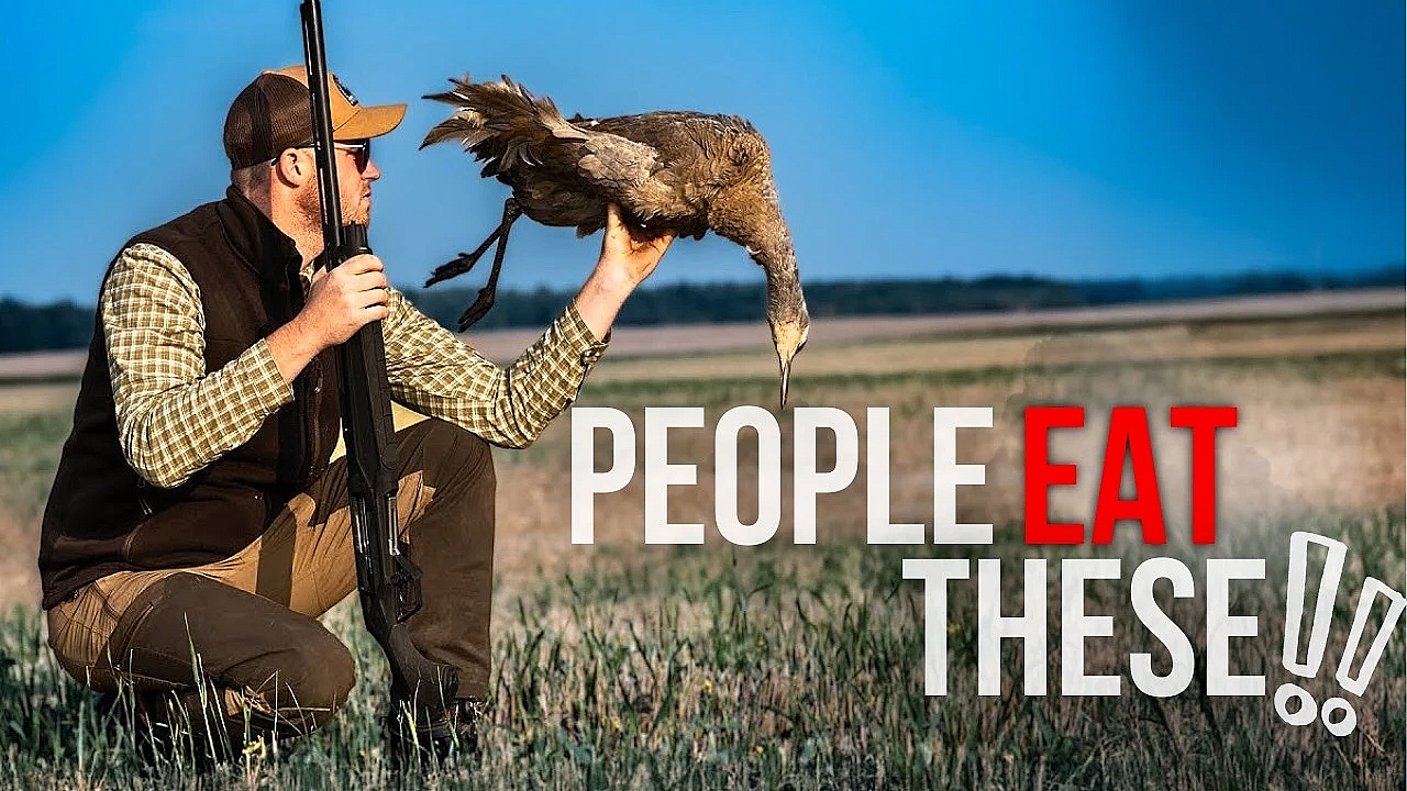 I Travelled 4,500 Miles To Hunt This Bird