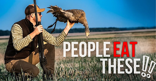 I Travelled 4,500 Miles To Hunt This Bird