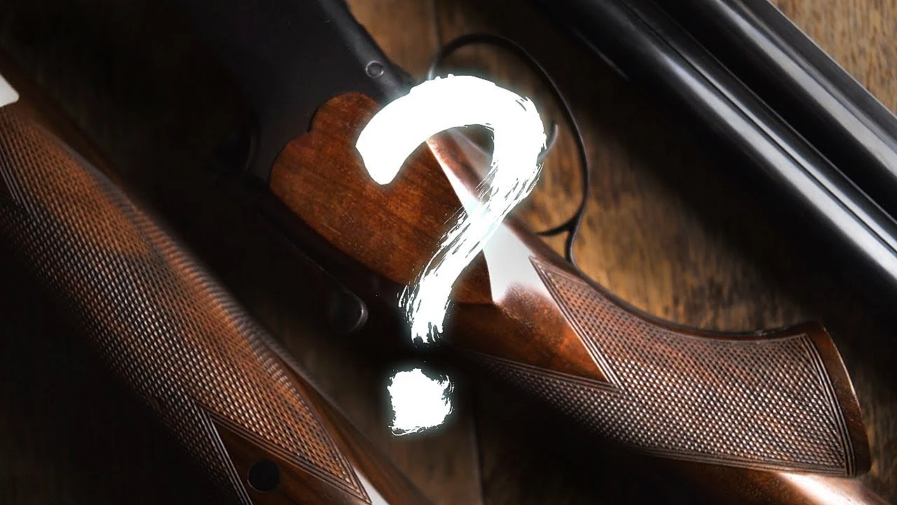 So I Bought A New Gun...