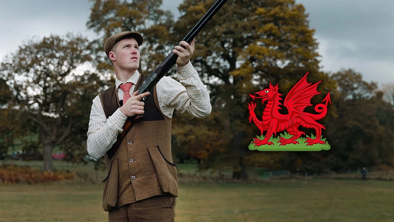 Welsh Pheasants In The Sun