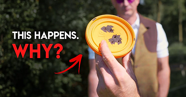 'summer Training' With Ed Solomons