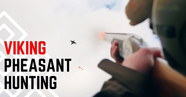 Driven Pheasant Shooting In Denmark!?