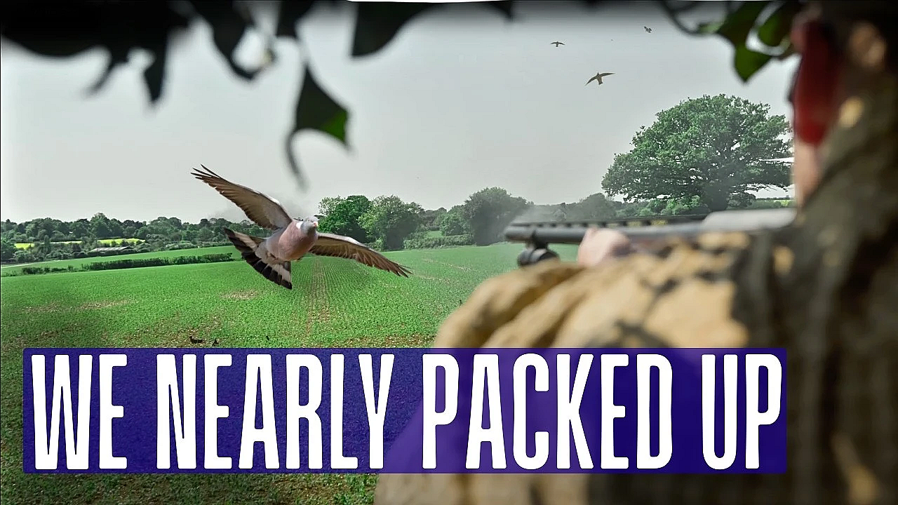 We Almost Left - Then The Pigeons Came!