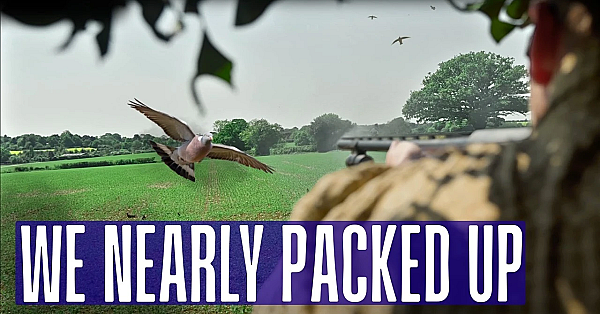 We Almost Left - Then The Pigeons Came!