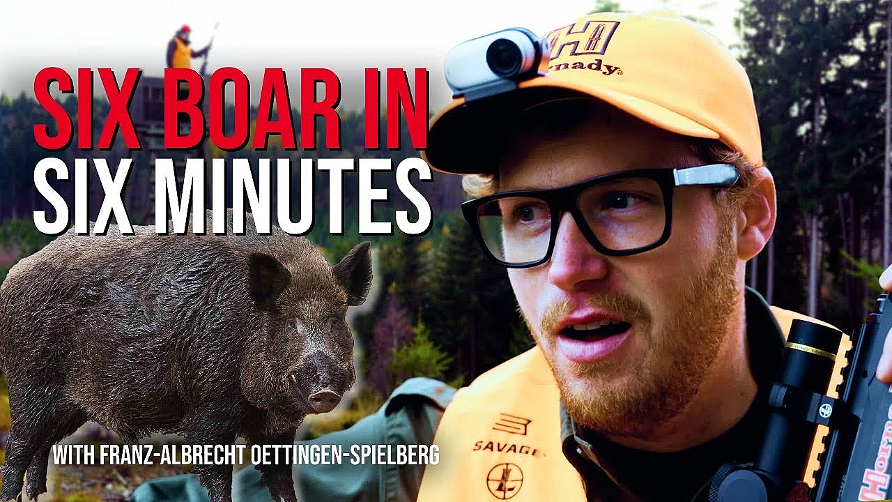 I Was Not Ready For The Wild Boar Fever