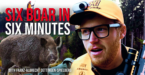 I Was Not Ready For The Wild Boar Fever