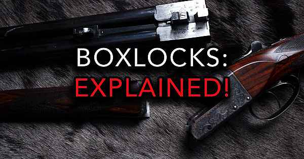 The Best Side By Sides?!