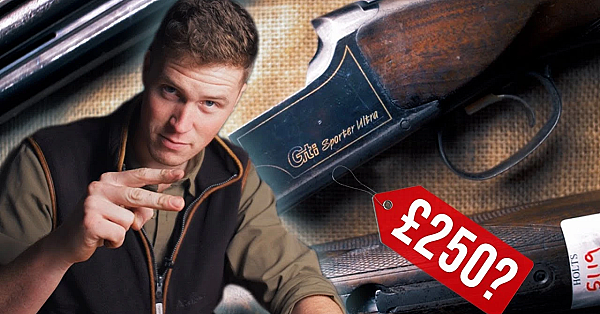 Auction Bargain Browning Shotgun