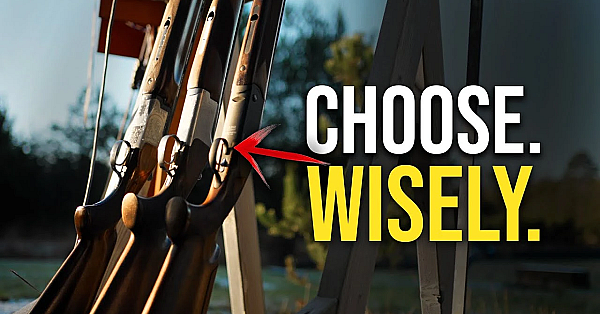 This Is The Best Shotgun Under £1000.