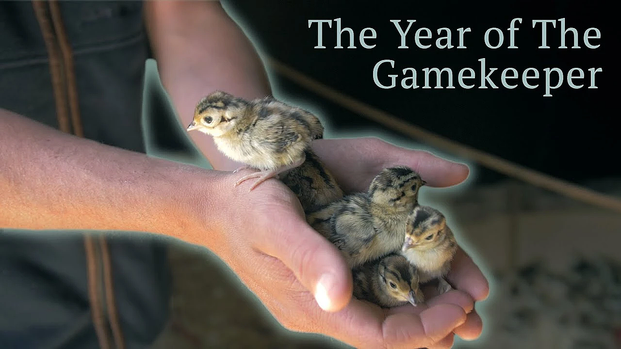 Year Of The Gamekeeper - Part 2