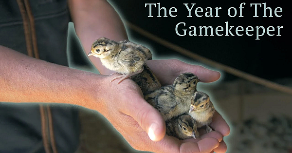 Year Of The Gamekeeper - Part 2