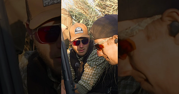 The Ax800 Suprema - The Ultimate Duck Hunter!