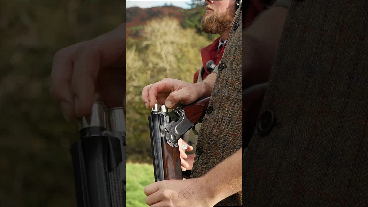 Two Pheasants In A Row