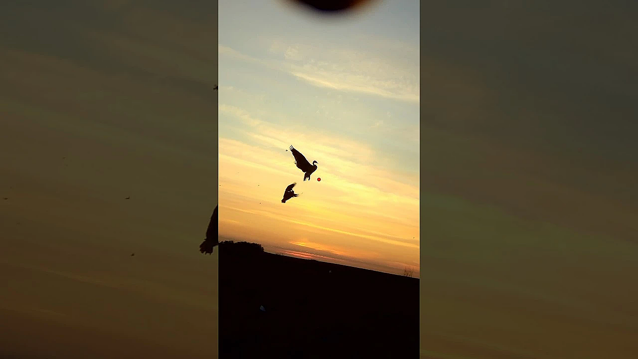 Waterfowling In Canada