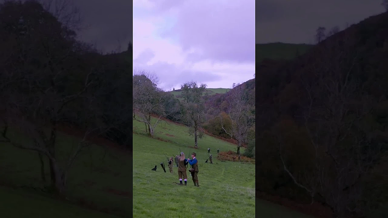 High Birds At Dyfi Falls