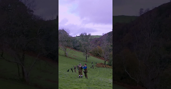 High Birds At Dyfi Falls