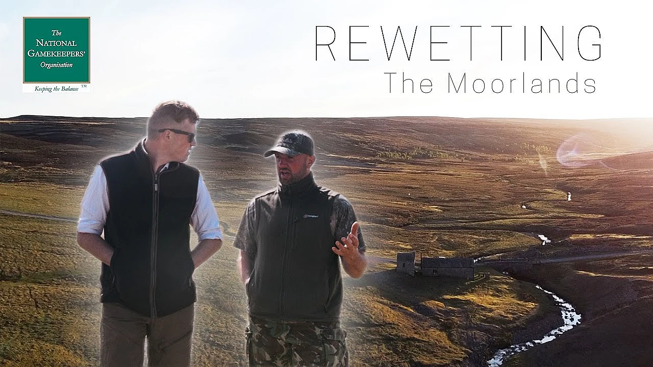 For Peat Sake: Saving The Uk Biggest Carbon Store