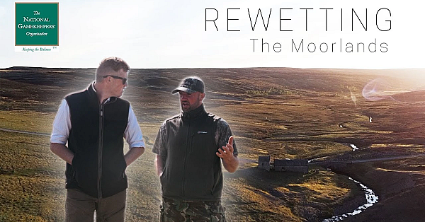 For Peat Sake: Saving The Uk Biggest Carbon Store