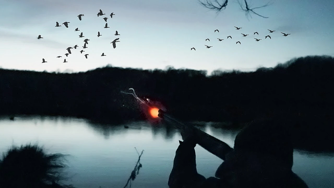 The Flight Pond - Duck Shooting